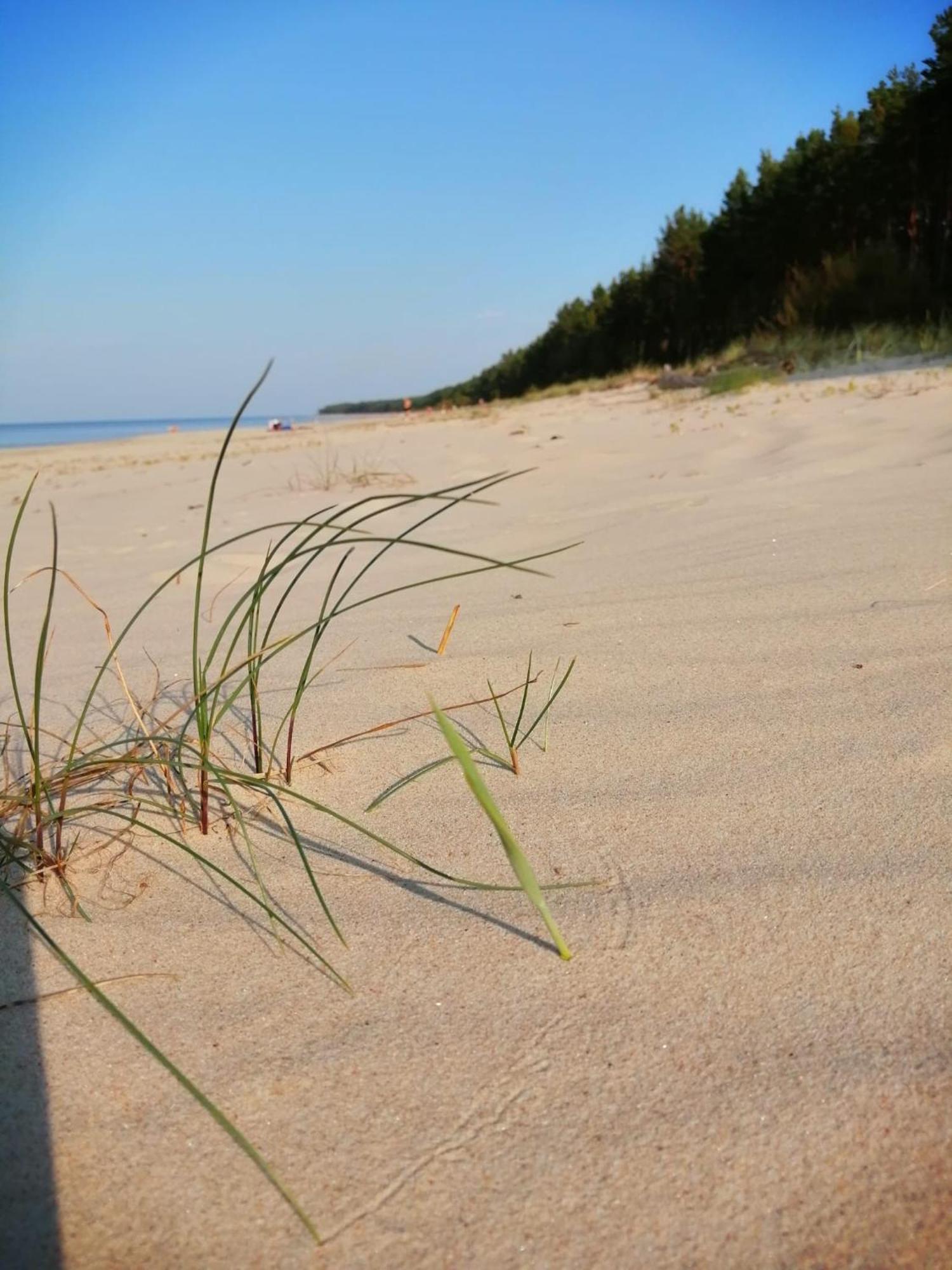 Few Steps To The Bay * Jurmala